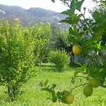 Bernardes House Kır Evi