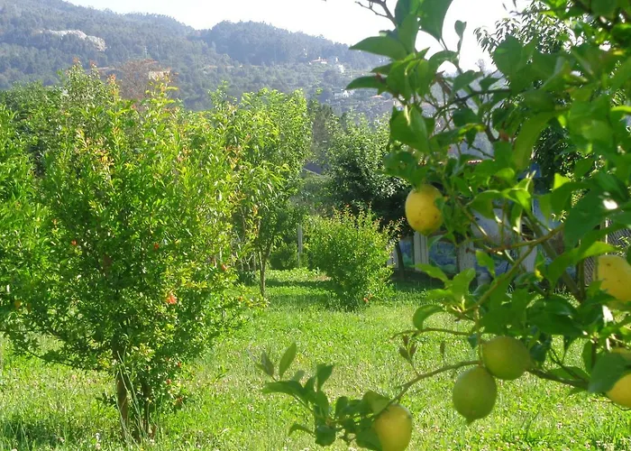 Bernardes House Landhuis